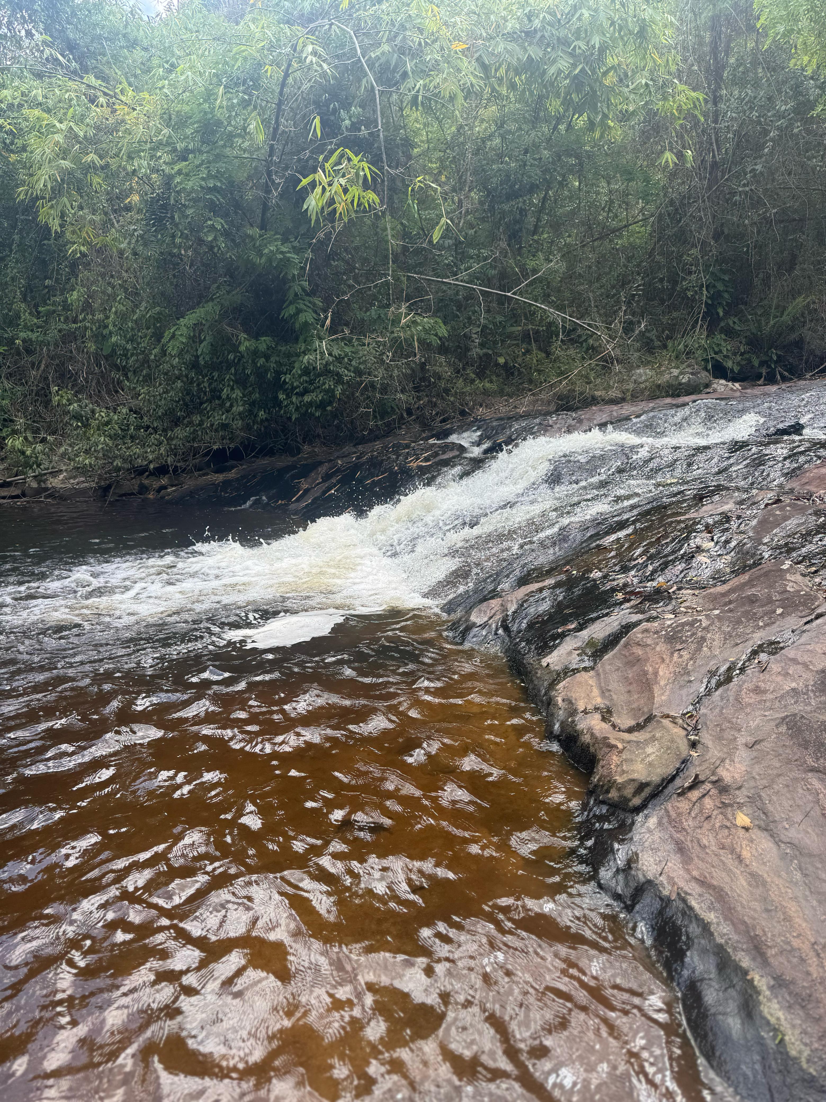 Cachoeira com mata nativa